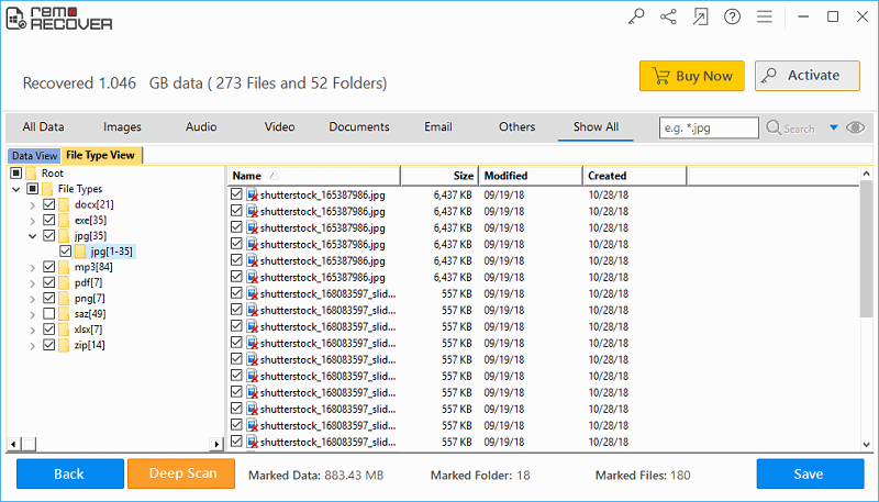 Undelete Files from Memory Stick - Recovered Files in Data View & File Type View